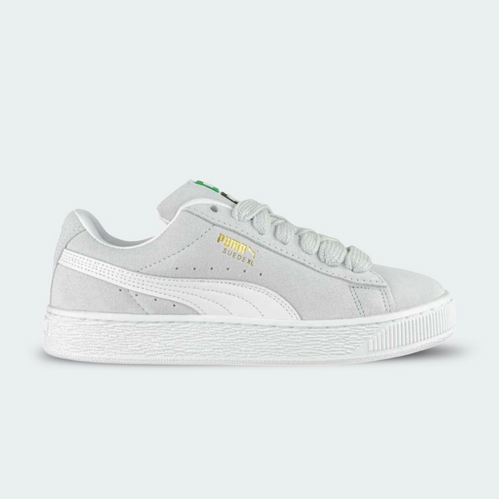 Chaussure SUEDE XL